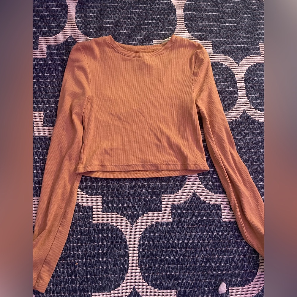 Brown long sleeve crop top